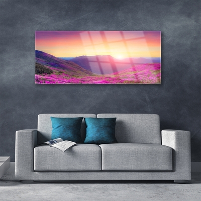 Print op plexiglas Sun mountain meadow nature