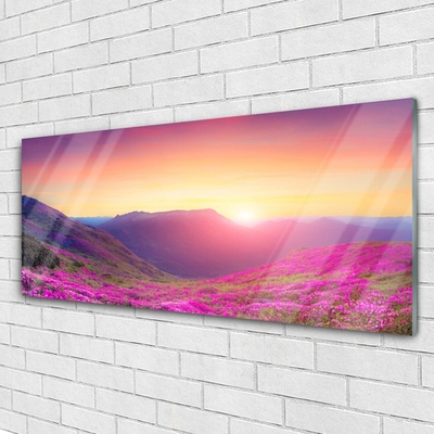 Print op plexiglas Sun mountain meadow nature