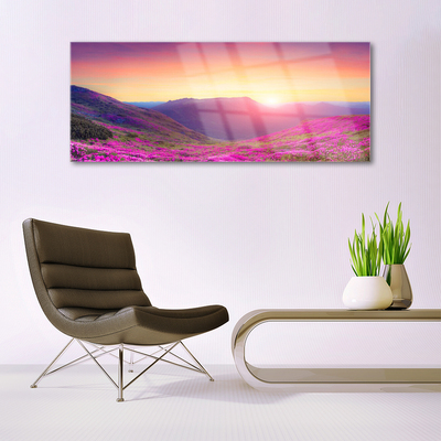 Print op plexiglas Sun mountain meadow nature