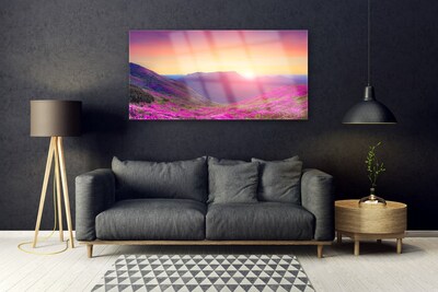 Print op plexiglas Sun mountain meadow nature