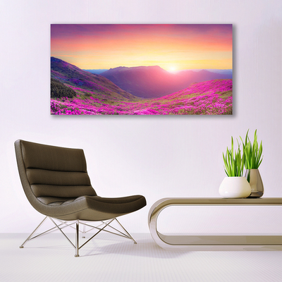 Print op plexiglas Sun mountain meadow nature