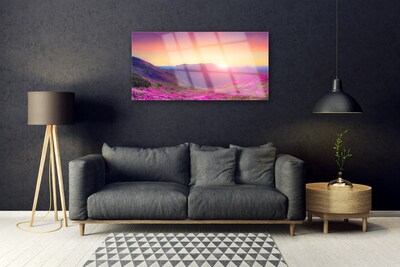 Print op plexiglas Sun mountain meadow nature