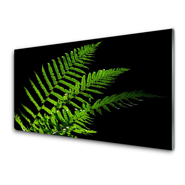 Print op plexiglas Fern varens bladeren