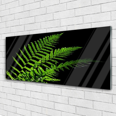 Print op plexiglas Fern varens bladeren