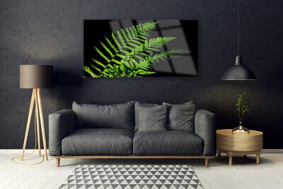 Print op plexiglas Fern varens bladeren