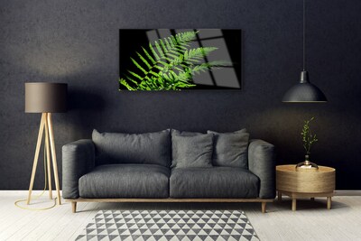 Print op plexiglas Fern varens bladeren