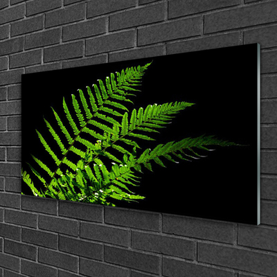 Print op plexiglas Fern varens bladeren