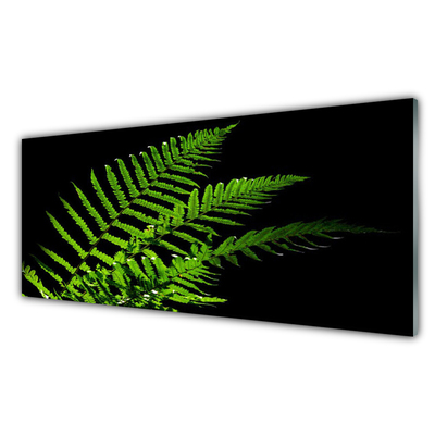 Print op plexiglas Fern varens bladeren