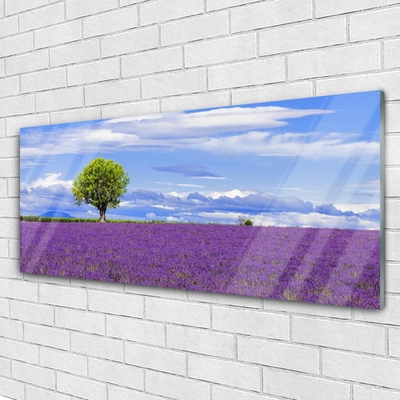 Print op plexiglas Gebied van de lavendel nature tree