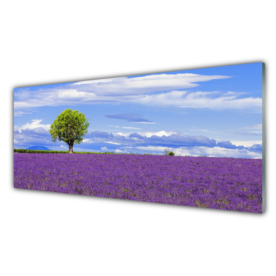 Print op plexiglas Gebied van de lavendel nature tree