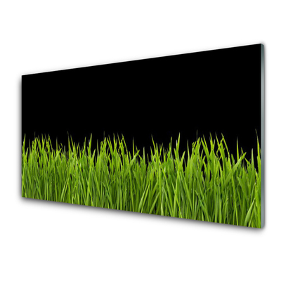 Print op plexiglas Green grass nature