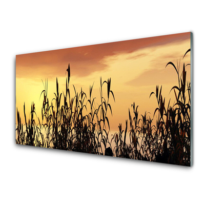 Print op plexiglas Bladeren west meadow field