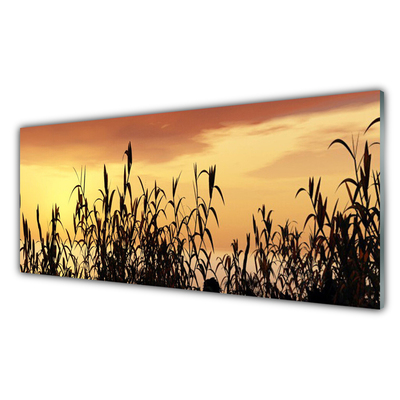 Print op plexiglas Bladeren west meadow field