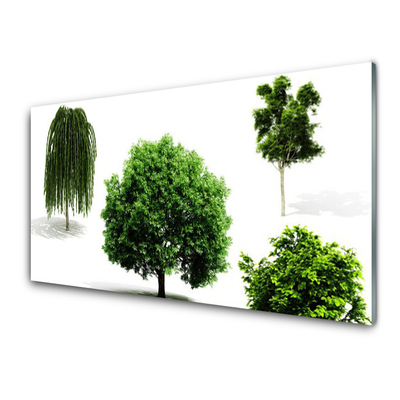 Print op plexiglas Bomen natuur natuur