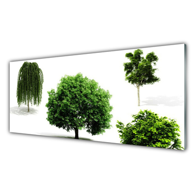 Print op plexiglas Bomen natuur natuur
