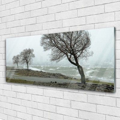 Print op plexiglas Sea storm waves