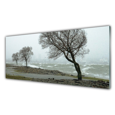 Print op plexiglas Sea storm waves