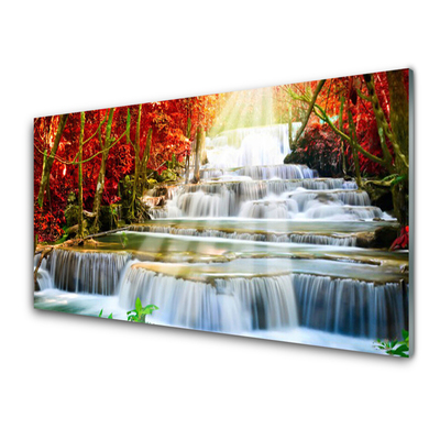 Print op plexiglas Boswaterval nature