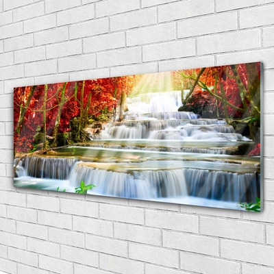 Print op plexiglas Boswaterval nature