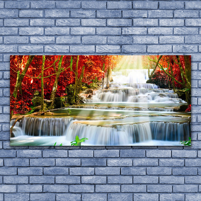 Print op plexiglas Boswaterval nature