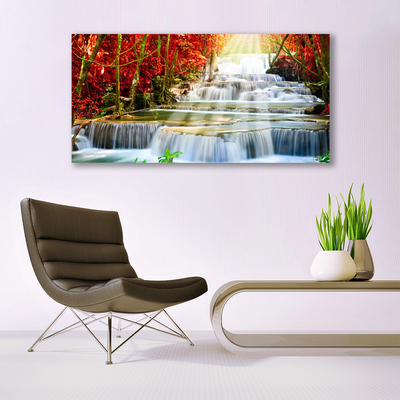 Print op plexiglas Boswaterval nature