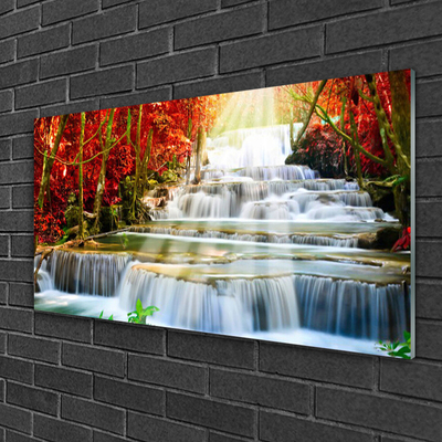 Print op plexiglas Boswaterval nature