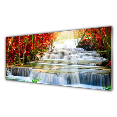 Print op plexiglas Boswaterval nature