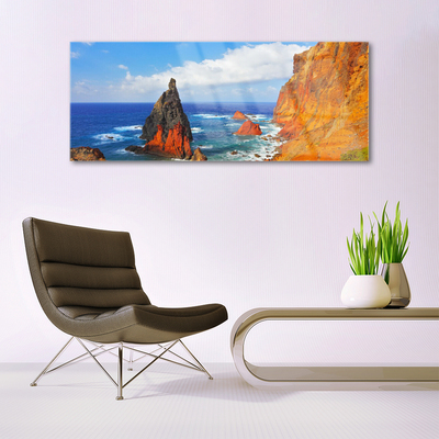 Print op plexiglas Cliff sea coast