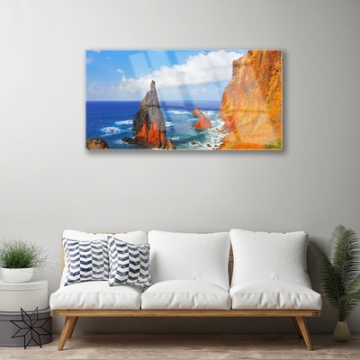 Print op plexiglas Cliff sea coast