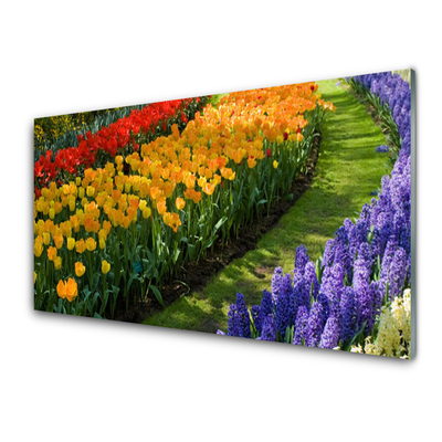 Print op plexiglas Tulpen bloemen garden