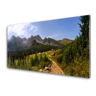 Print op plexiglas Hall meadow mountain road nature