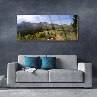 Print op plexiglas Hall meadow mountain road nature