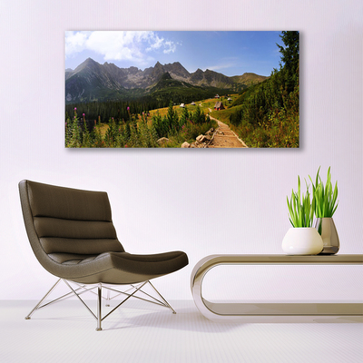 Print op plexiglas Hall meadow mountain road nature