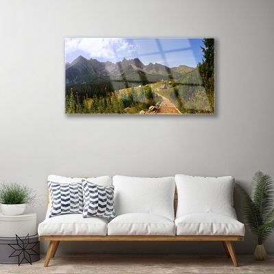 Print op plexiglas Hall meadow mountain road nature