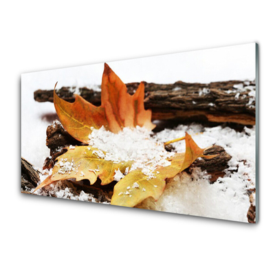 Print op plexiglas Autumn forest leaf nature