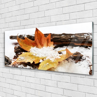 Print op plexiglas Autumn forest leaf nature