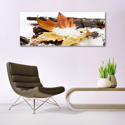 Print op plexiglas Autumn forest leaf nature