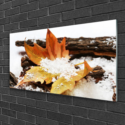 Print op plexiglas Autumn forest leaf nature