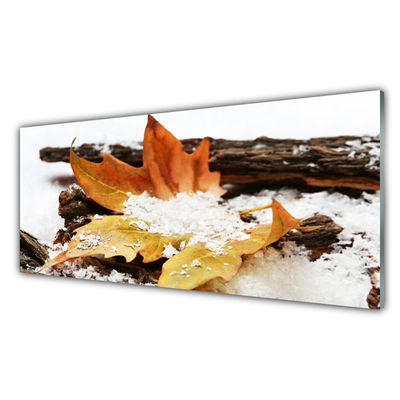 Print op plexiglas Autumn forest leaf nature