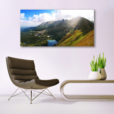 Print op plexiglas Mountain meadow landscape