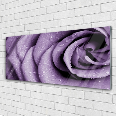 Print op plexiglas Rose flower plant
