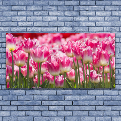 Print op plexiglas Tulpen bloemen nature