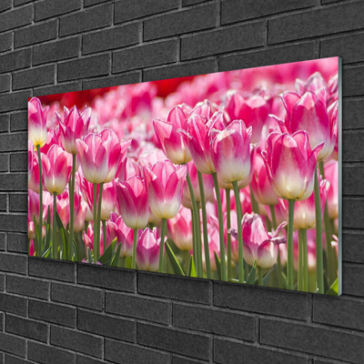 Print op plexiglas Tulpen bloemen nature