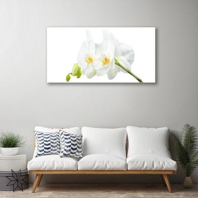 Print op plexiglas Bloemblaadjes witte orchidee