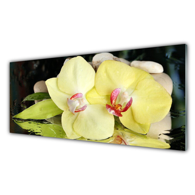 Print op plexiglas Orchidee bloemblaadjes