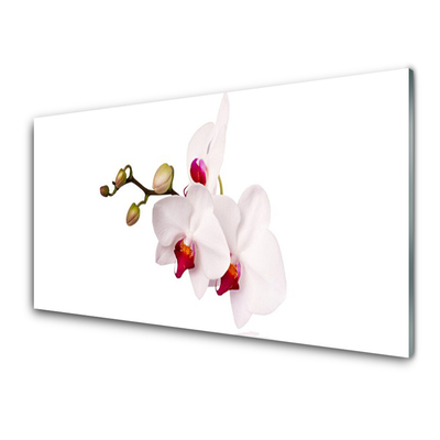 Print op plexiglas Orchideebloemen nature