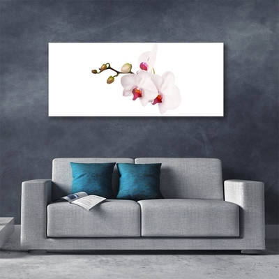 Print op plexiglas Orchideebloemen nature