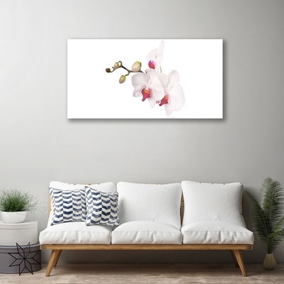 Print op plexiglas Orchideebloemen nature