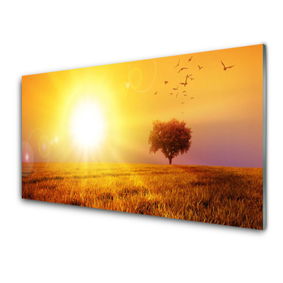 Print op plexiglas Sunset weidevogels