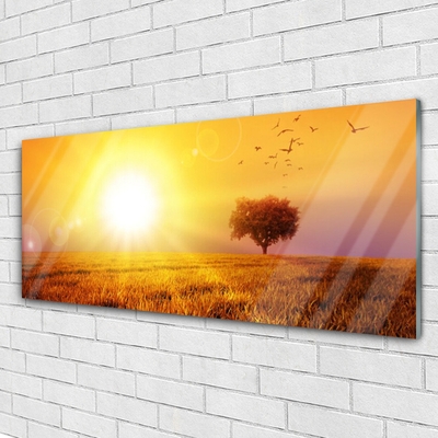 Print op plexiglas Sunset weidevogels